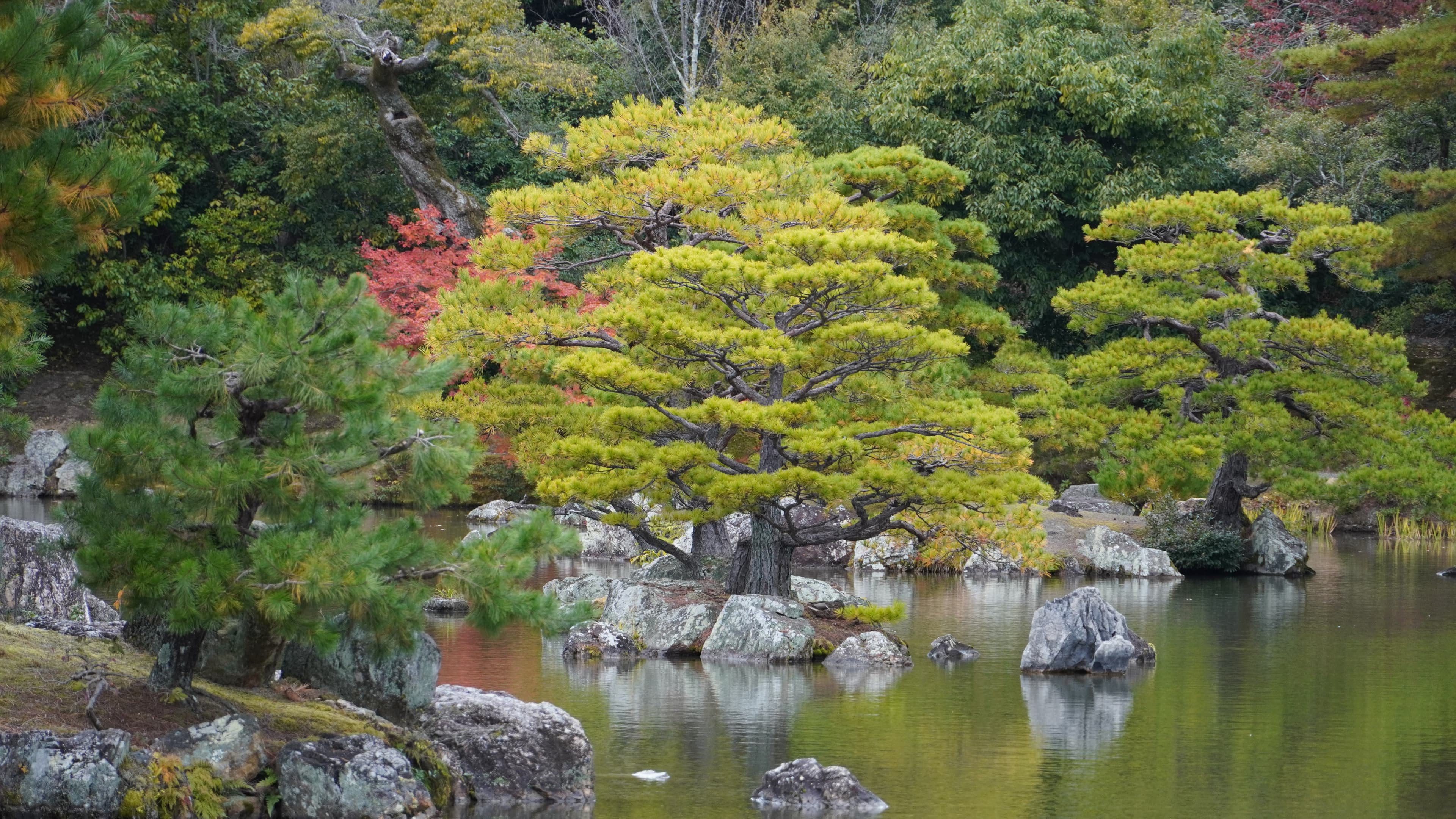 京都与大阪旅行手记